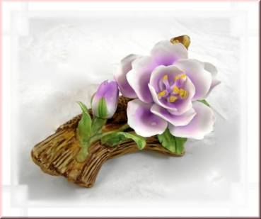 Porzellan Blume, Bl�te wei�-lila Krokus in voller Bl�te