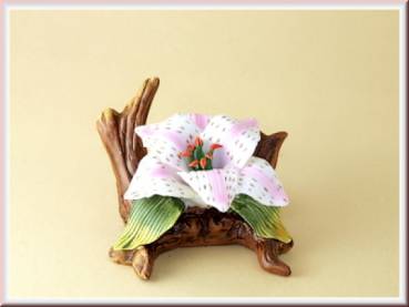 Porzellan Blume, wei�-rosa Orchide-Bl�te
