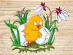 Oster-Fensterbild "Oster-K�cken"