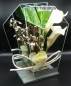 Mobile Preview: Glasdekoration beleuchtet mit weisser Lilie