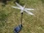 Preview: Led Solar Lampe Farbwechsler Schmetterling Kolibrie Libelle