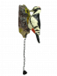 Preview: Türklopfer Buntspecht mit schwarz weissem Gefieder an einem Baumstamm