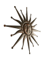 Preview: Wandornament Sonne mit freundlichem Gesicht und 17 Strahlen