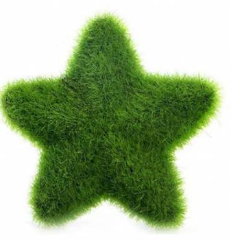 grüner Stern Kunstblume mit Gras bedeckt