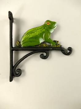 Wandhaken Blumenampelhalter Frosch farbig