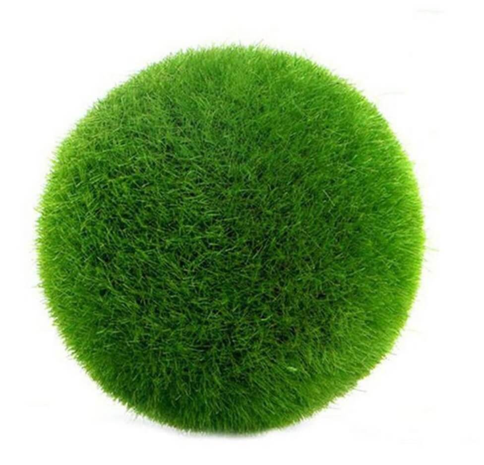 Kugel Grünpflanze Kunst Gras Dekoration ganzes Jahr kaufen - Dekoversandhaus | Kunstpflanzen