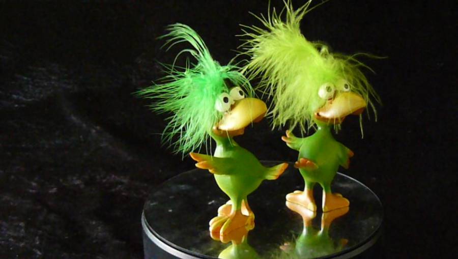 Vögel grün mit gelbem Schnabel und Füssen