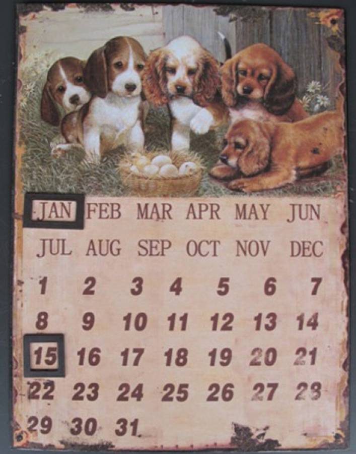 dauerkalender belchkalender hunde