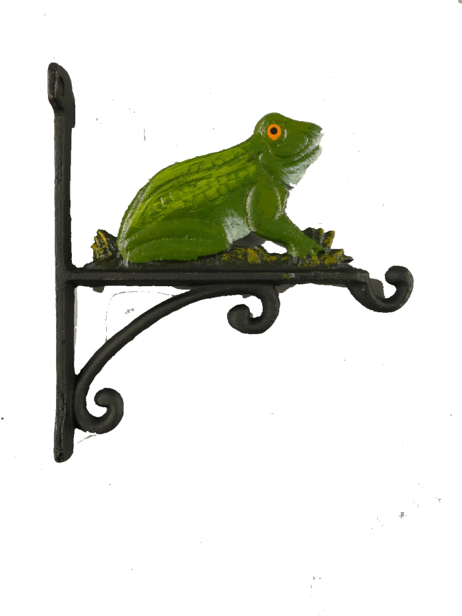 Wandhaken Blumenampelhalter Frosch farbig