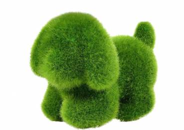 leuchtend grüner Hund mit echt aussehendem Kunstgras